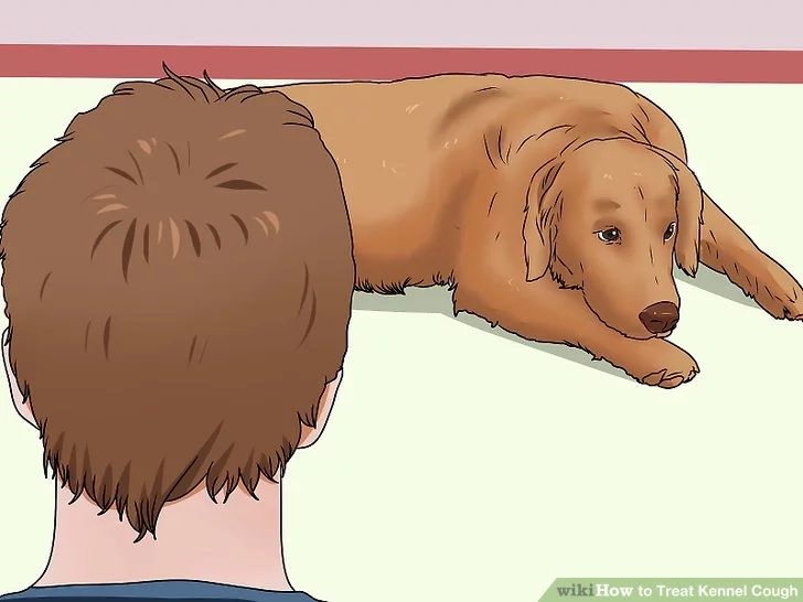 illustrations from wikihow Monitor your dog's energy