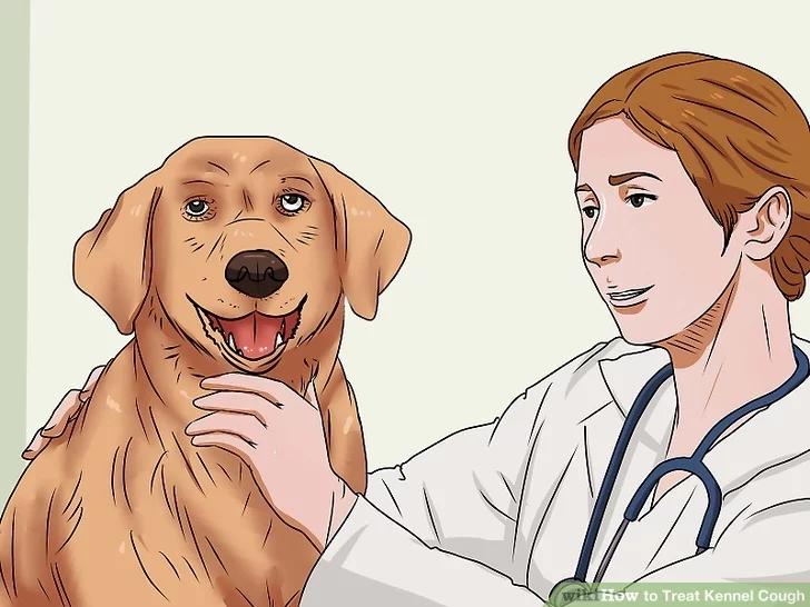 Go see your vet