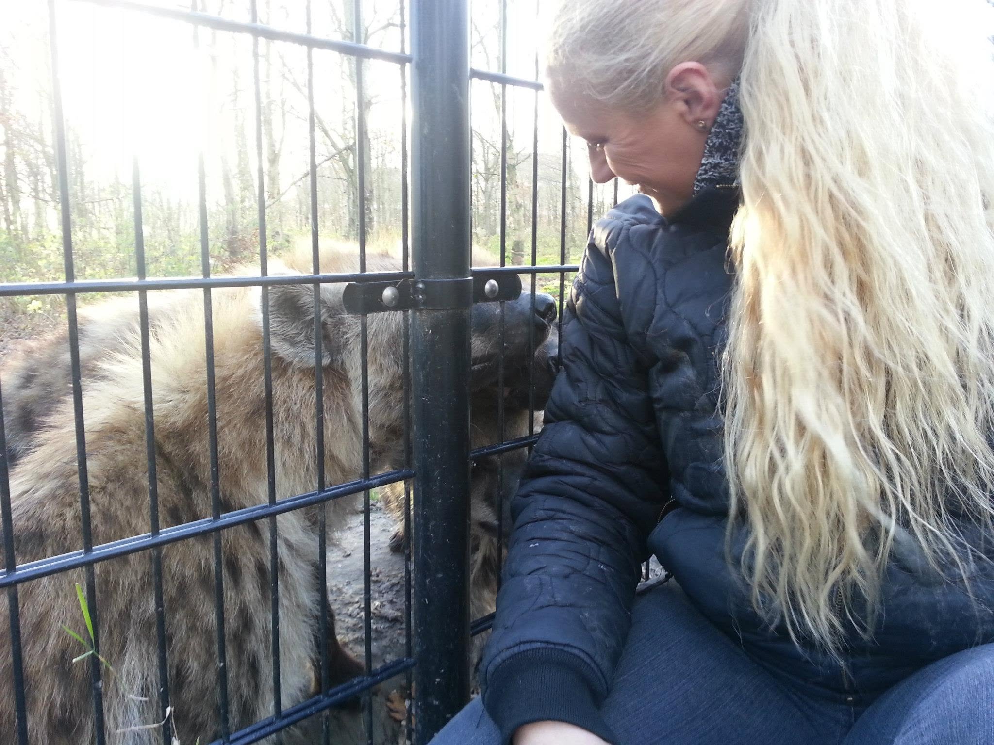 Communicatie met de hyena's