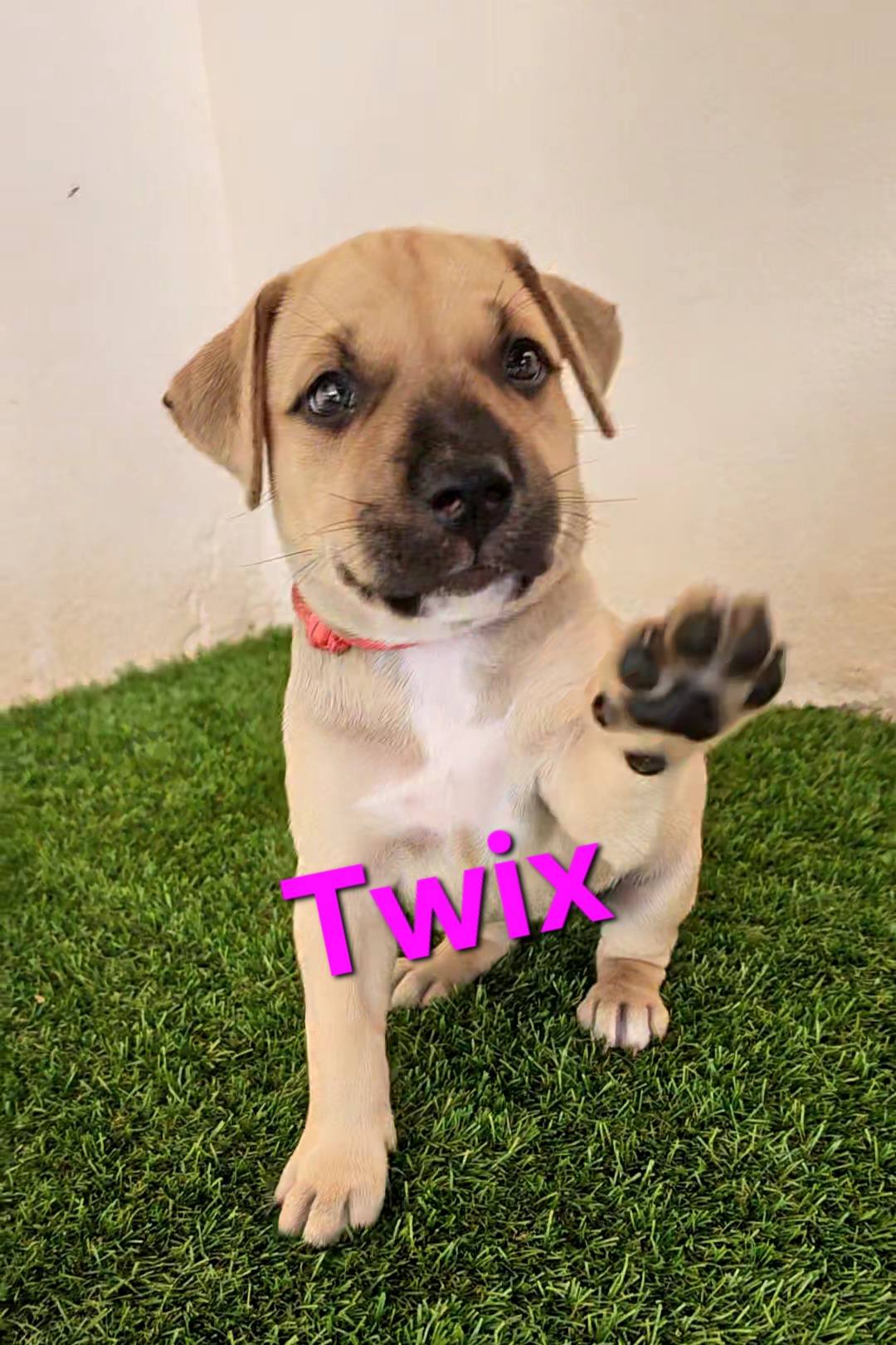 565150957 1384754676992675 4444541318227858822 n